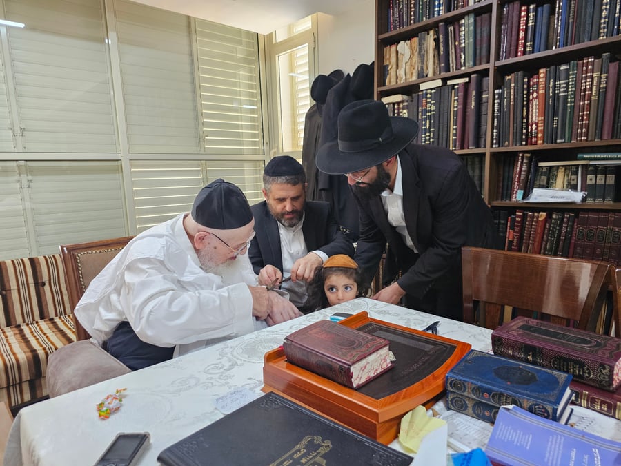 מראות ל"ג בעומר אצל הגאון רבי מאיר צבי ברגמן
