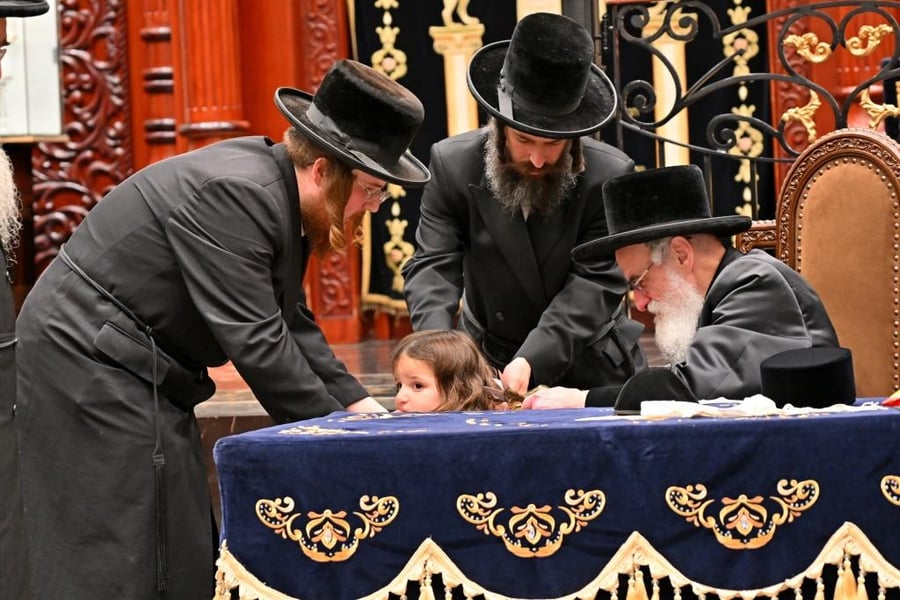 ל"ג בעומר בחצה"ק ויז'ניץ