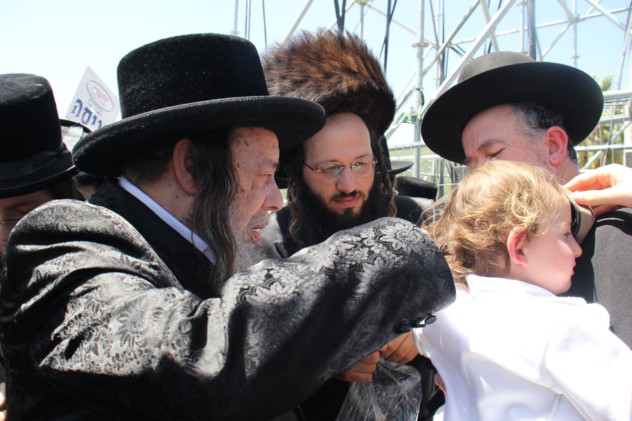 האדמו"ר מזוויעהיל במירון תשפ"ה