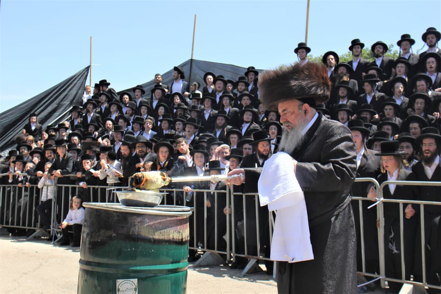 האדמו''ר מלעלוב בהדלקה באתרא קדישא מירון