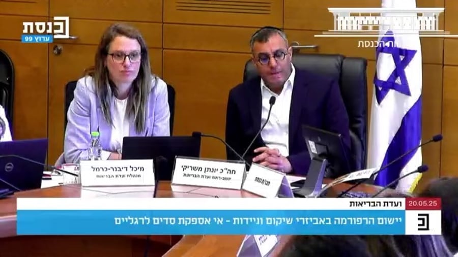 מתוך הדיון בוועדת הבריאות בכנסת