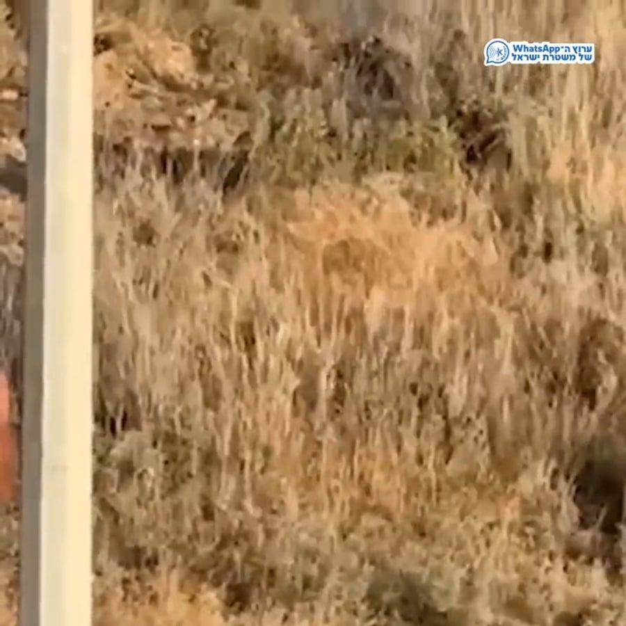 השמדת מטען חבלה