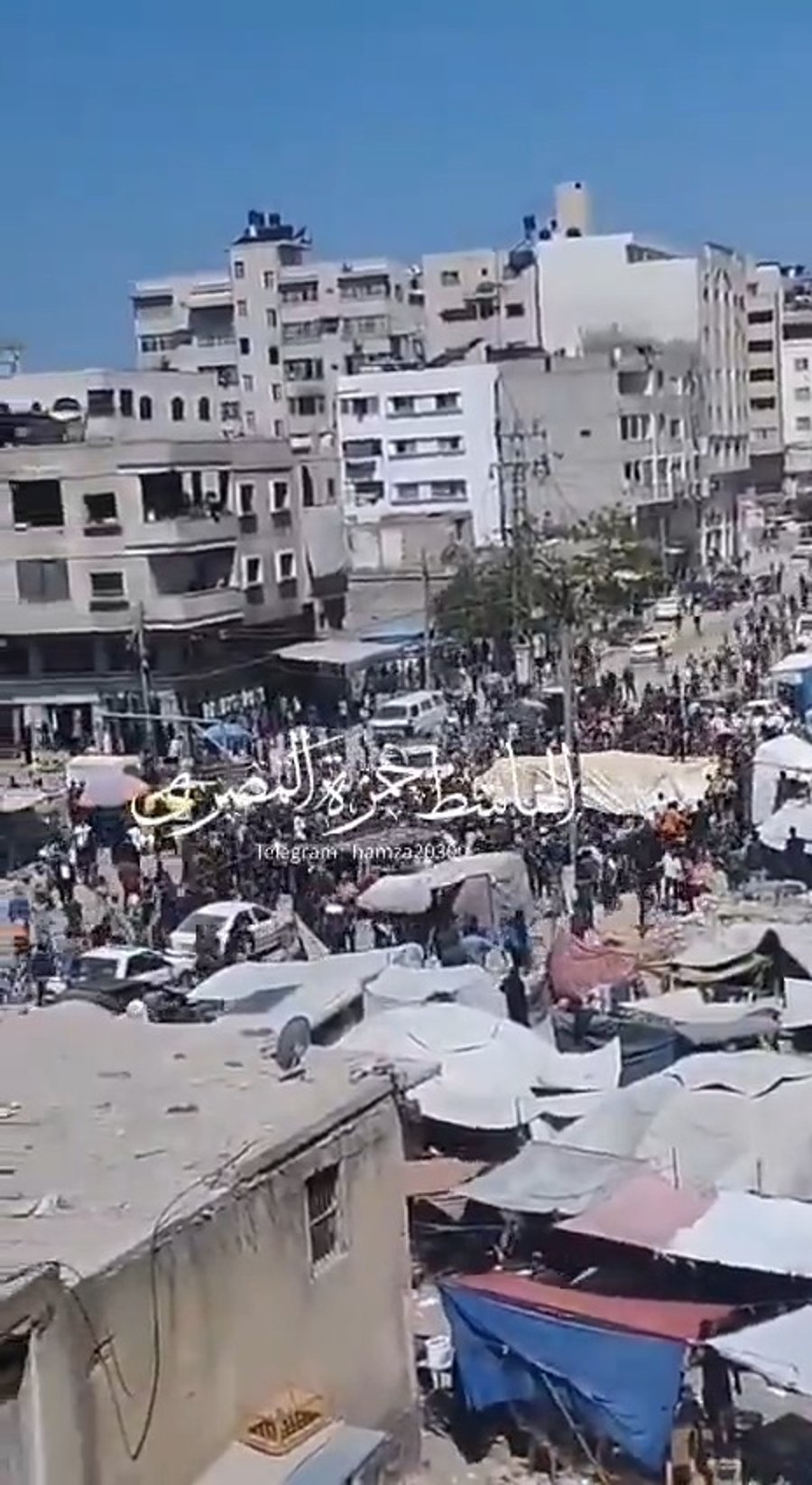 בזיזת משאיות הסיוע אתמול ברצועה