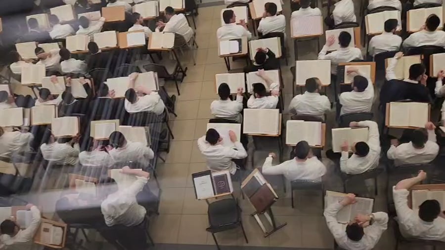 קול התורה בהיכלה של לייקווד | להאזין ולהתמוגג