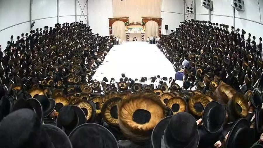 שבועות בחצה"ק דארג