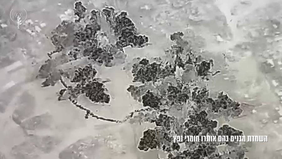 השמדת מבני הטרור