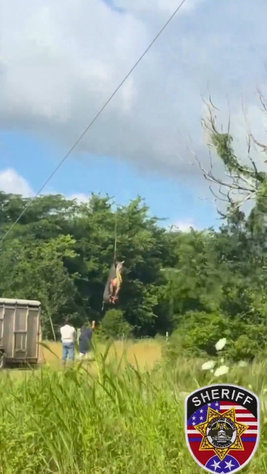 הזברה באוויר