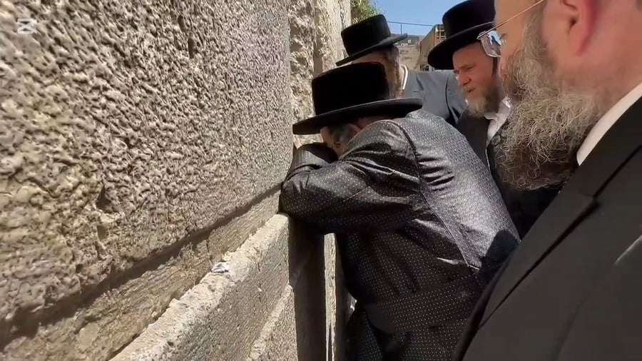 האדמו"ר מויז'ניץ בתפילה ברחבת הכותל המערבי