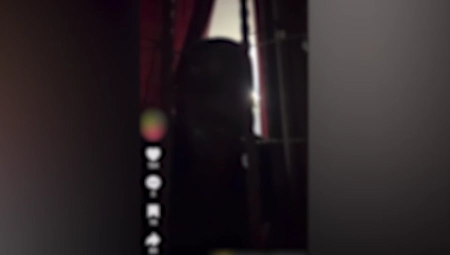 הפרסום המסית שפרסם