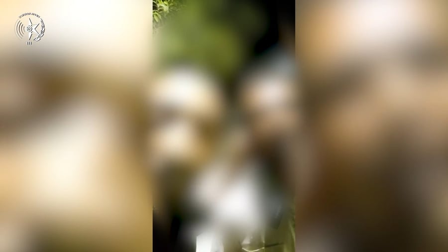 התיעוד שהעלה לרשת החברתית