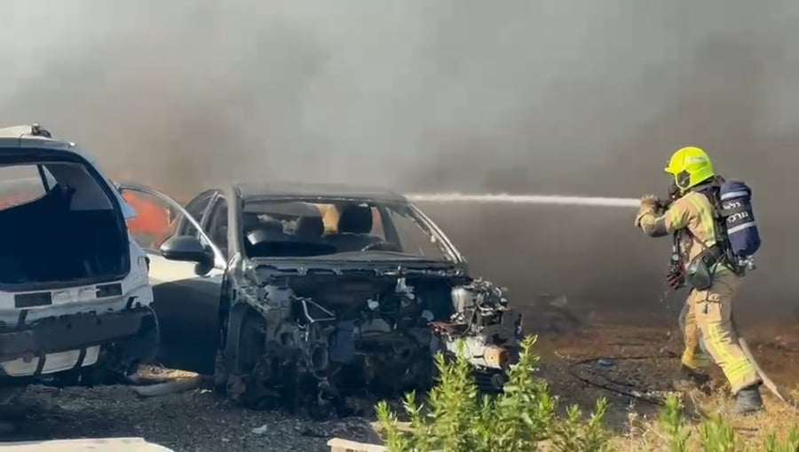 השריפות בצפון