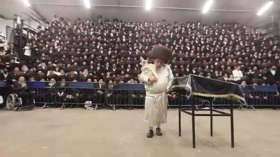 הכנסת ספר תורה ע"י האדמו"ר מלעלוב