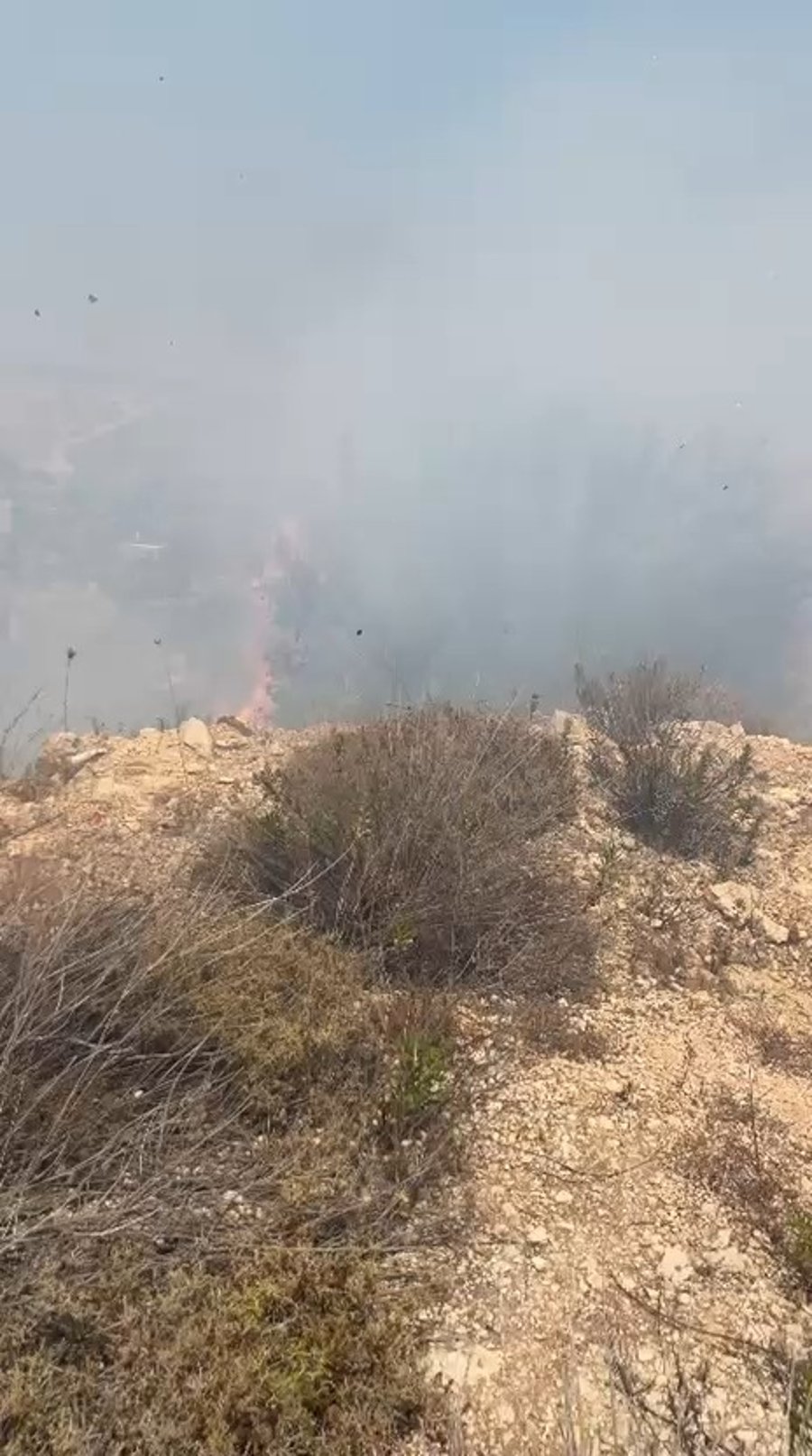 השריפה אתמול באפרת