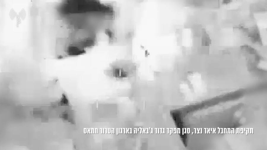 תיעוד החיסול