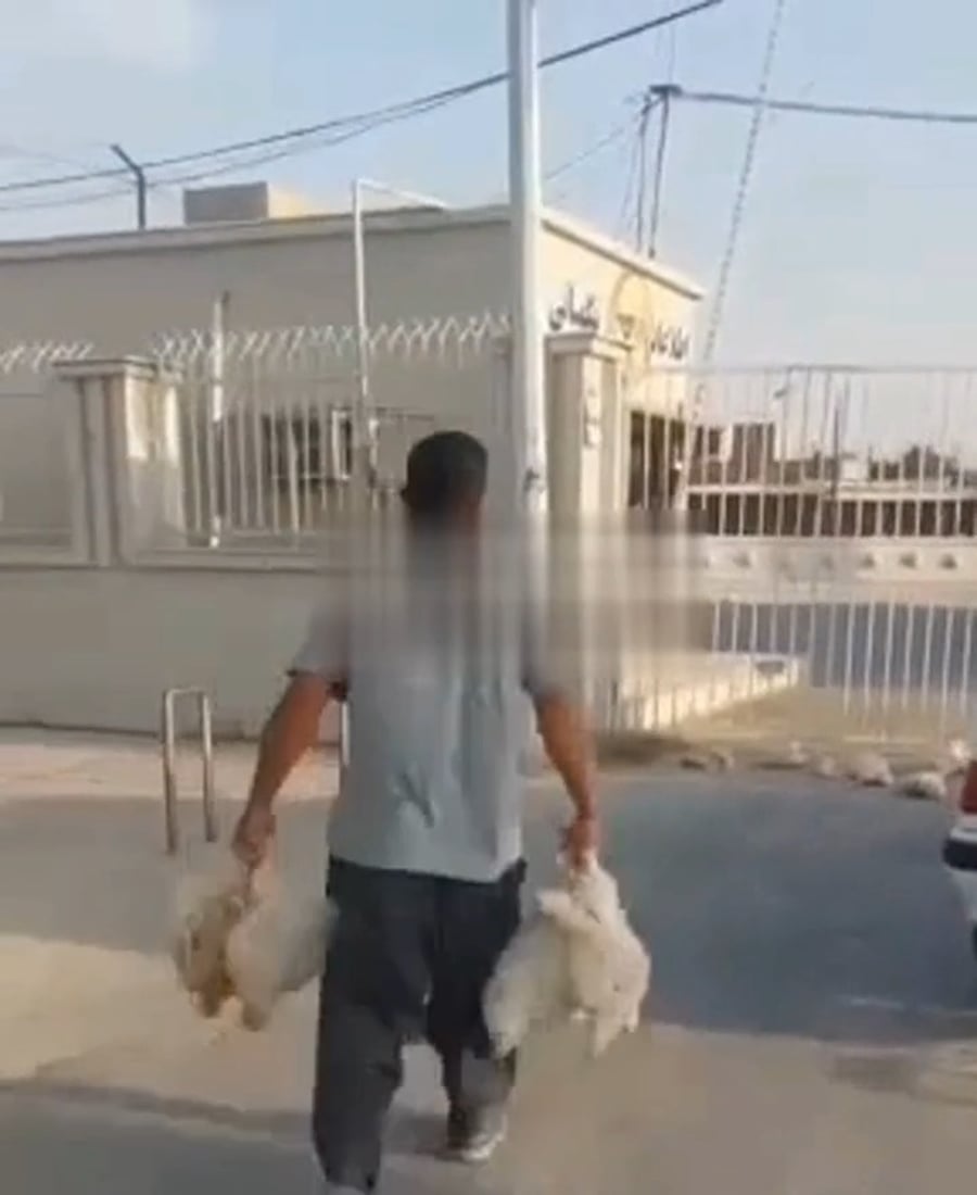 מגדל עופות איראני זרוק עופות בשערי חברת חשמל מקומית