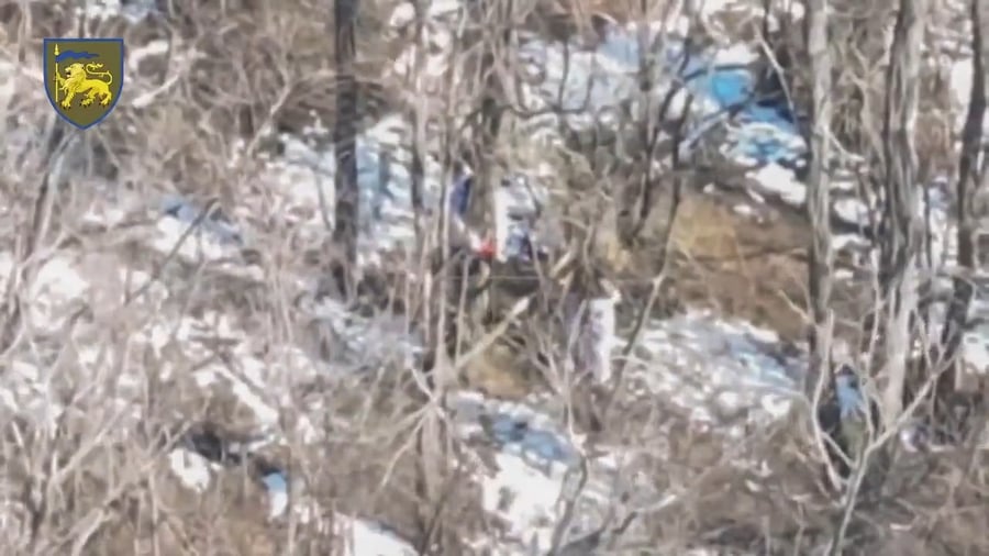 חייל נקשר לעץ בהמתנה למותו