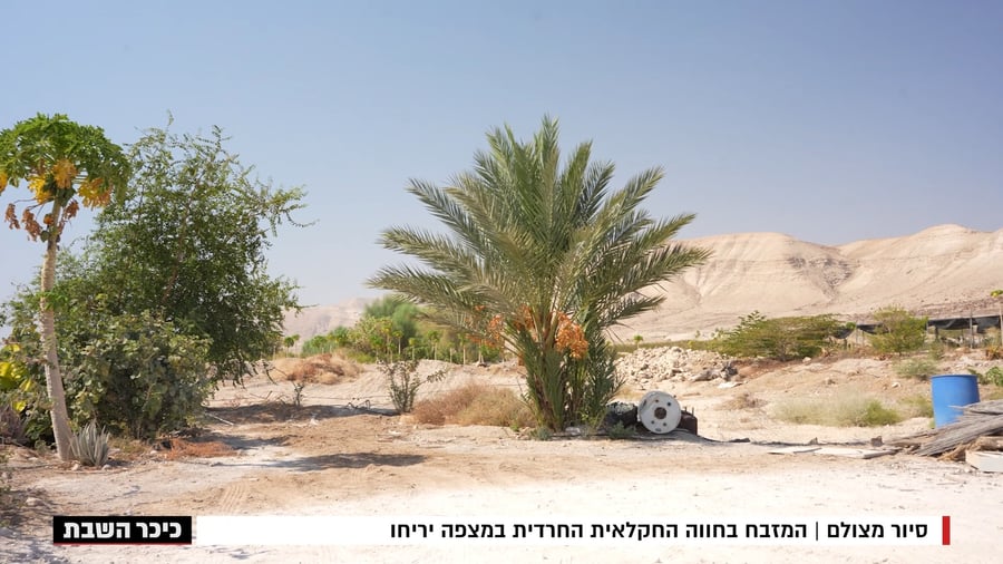 סיור מצולם: המזבח בחווה החקלאית החרדית במצפה יריחו