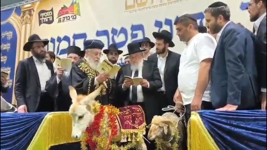 מעמד פדיון 'פטר חמור' בקהילת בית השם