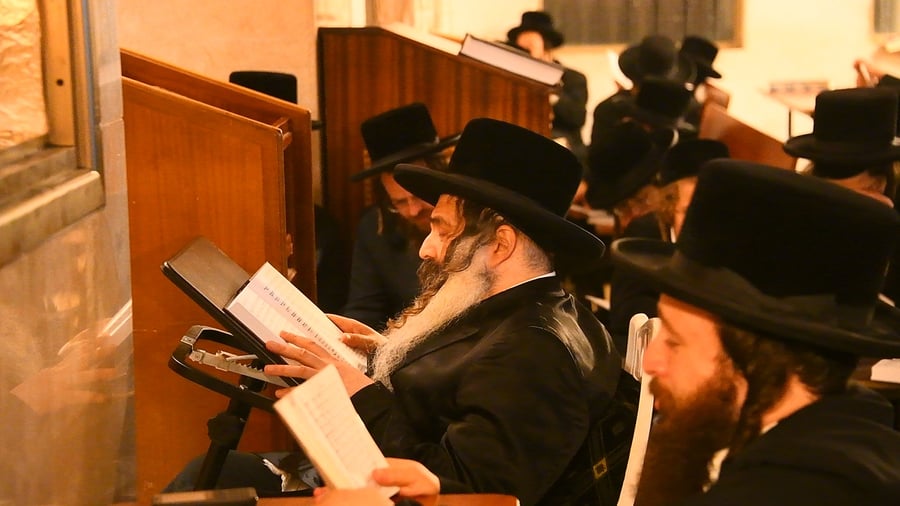 תשעה באב בחצה"ק זוטשקא