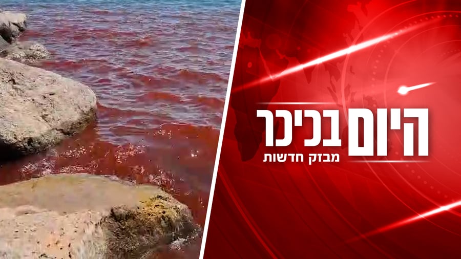 היום בכיכר - יום שני