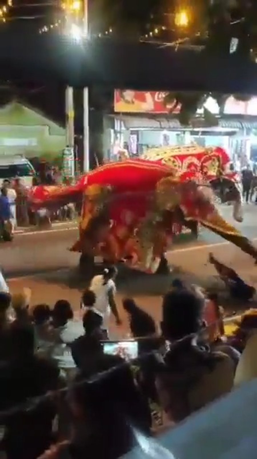 הפיל משתולל