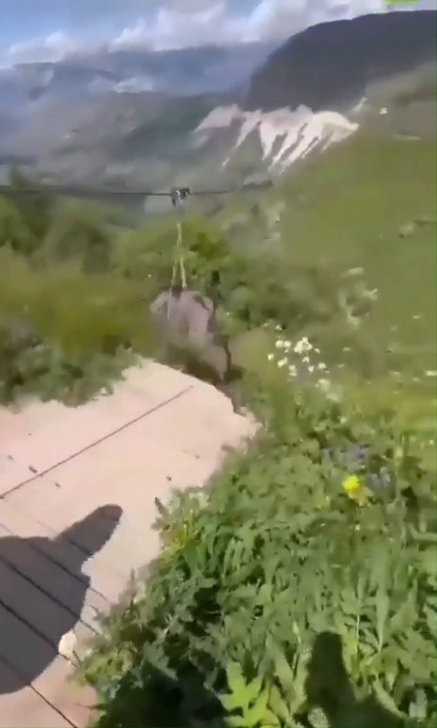 החמור באוויר