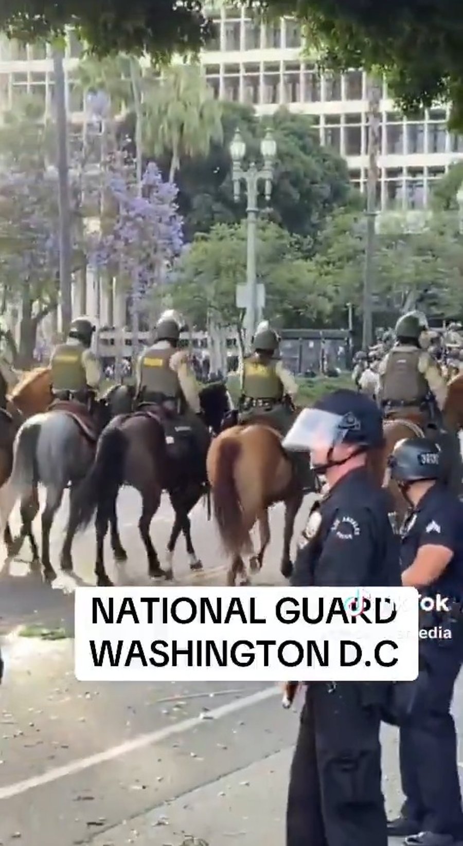 החיילים מגיעים לבירה