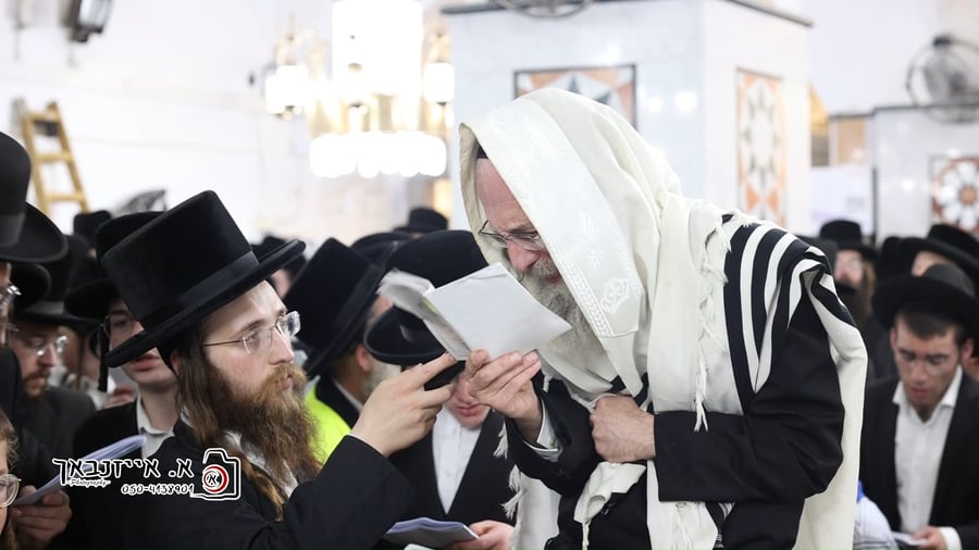 הגה"צ רבי אלימלך בידרמן בתפילה במערת המכפלה