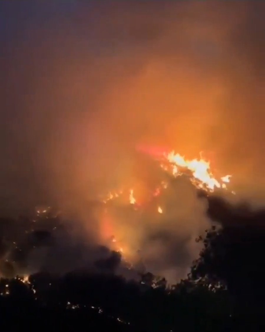 השירפות בספרד - 944,000 דונם נשרפו עד כה.