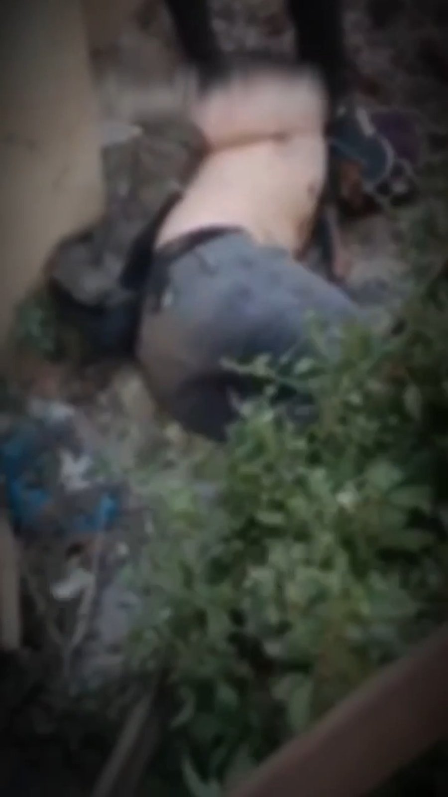 תיעוד קשה ואכזריות בלתי נתפסת