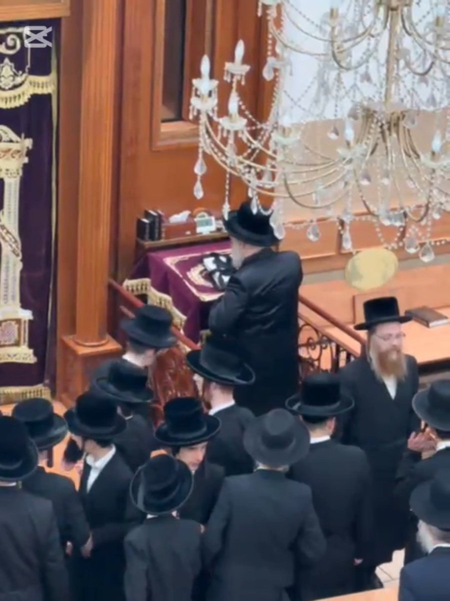 קבלת פנים להאדמו"ר מויז'ניץ לונדון