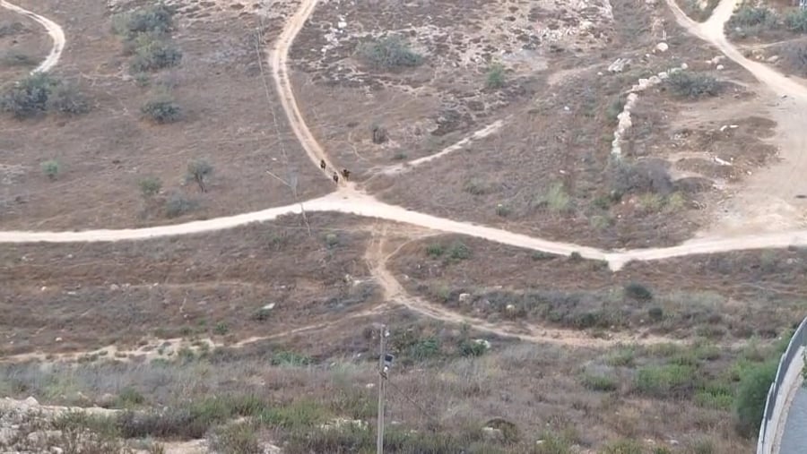 התיעוד המטריד רגע לפני כניסת השבת - בשכונות רמות הירושלמית