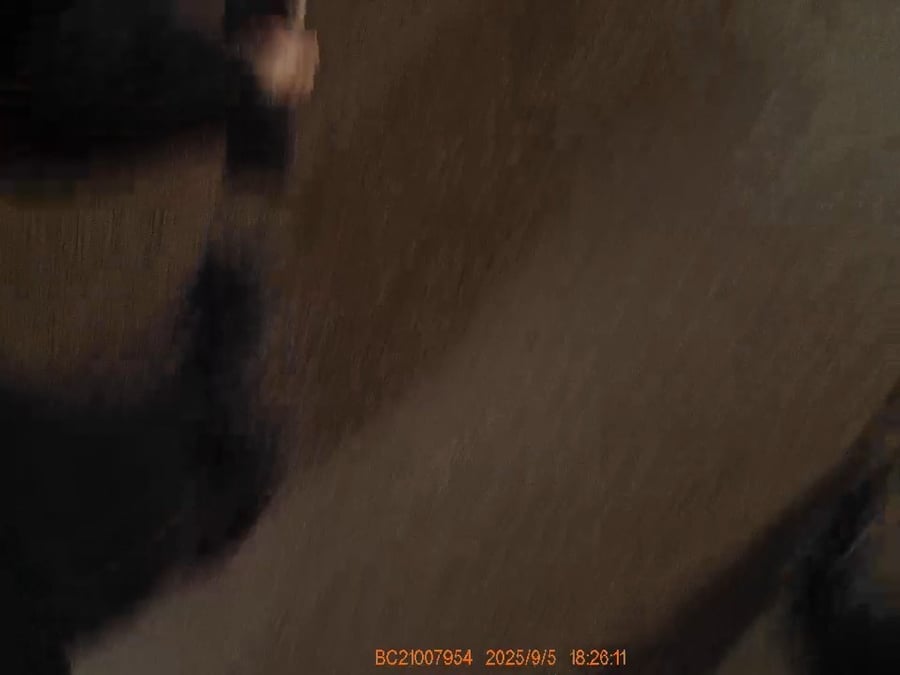 צפו ברגע המעצר