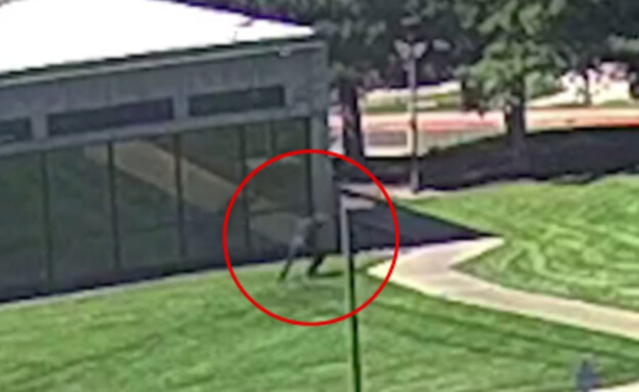 רגע ההימלטות של היורה