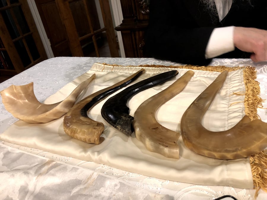 השופרות של הרבי מליובאוויטש: כלי הקודש שסחפו לבבות ונשמות