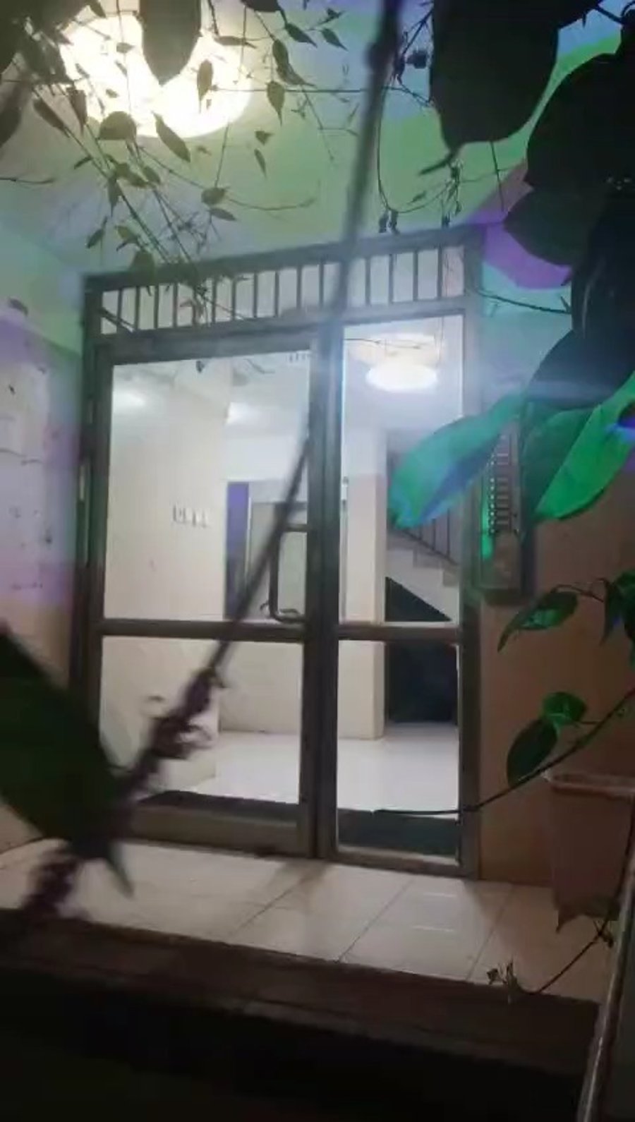  תיעוד השלכת הרימון מהפלאפון של החשוד הקטין