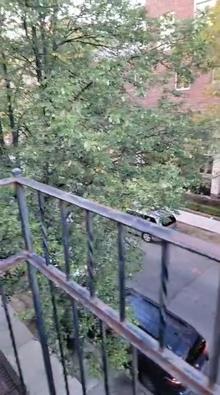 בהגעתם לבורו פארק