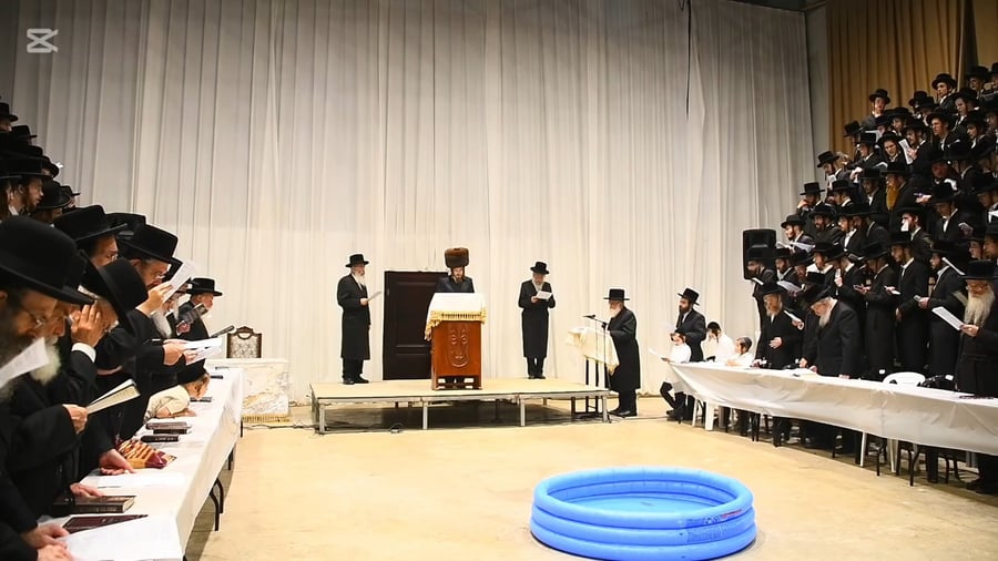 תשליך בחצה"ק סאדיגורה