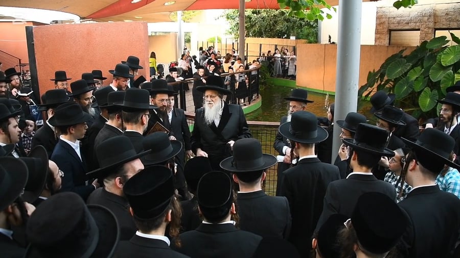 האדמו"ר ממודז'יץ במעמד תשליך