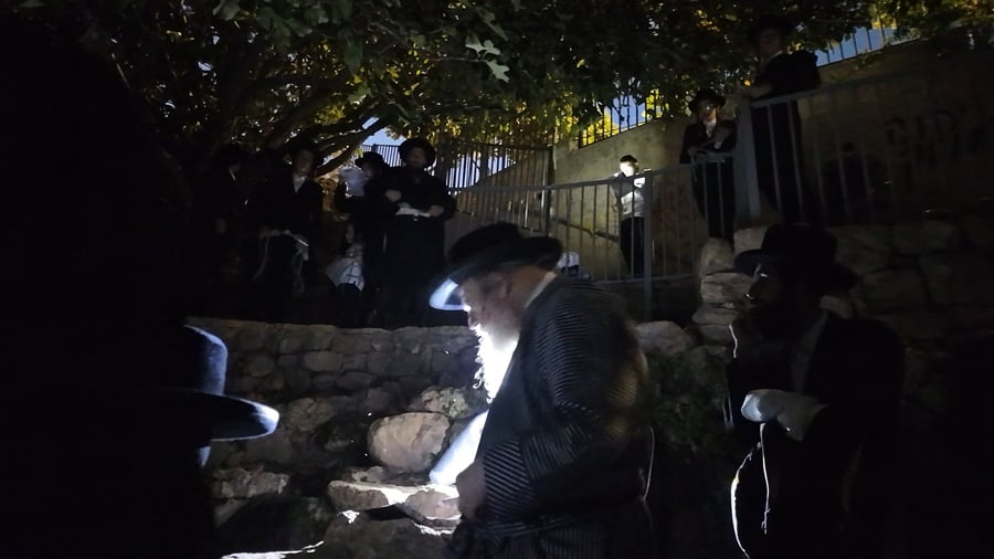 הרבי ממבקשי אמונה באמירת תשליך במעיין במברשת ציון