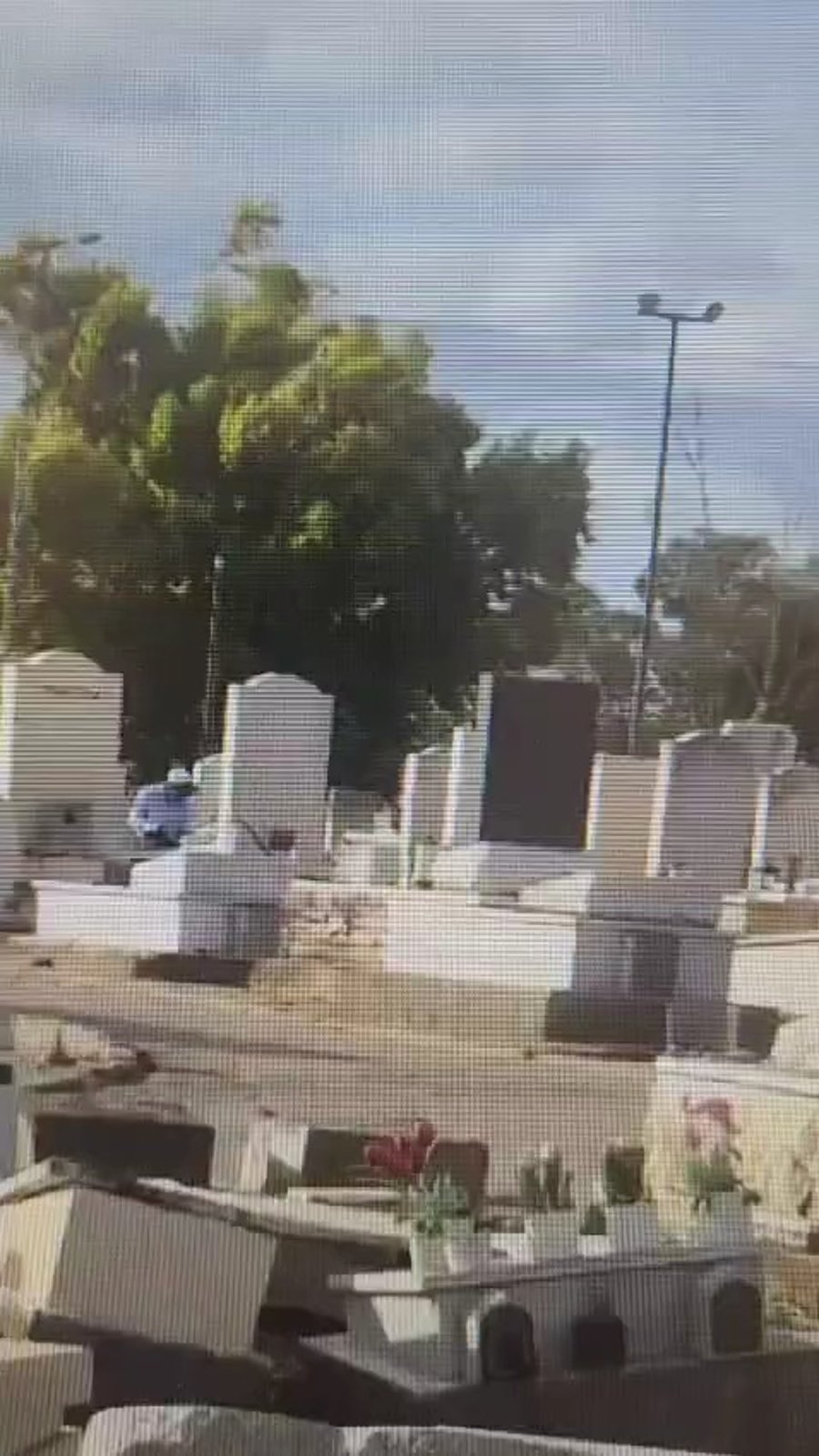 משחית את הקברים