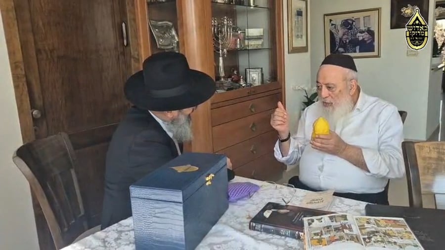 הגרש"מ עמאר בבדיקת אתרוגים