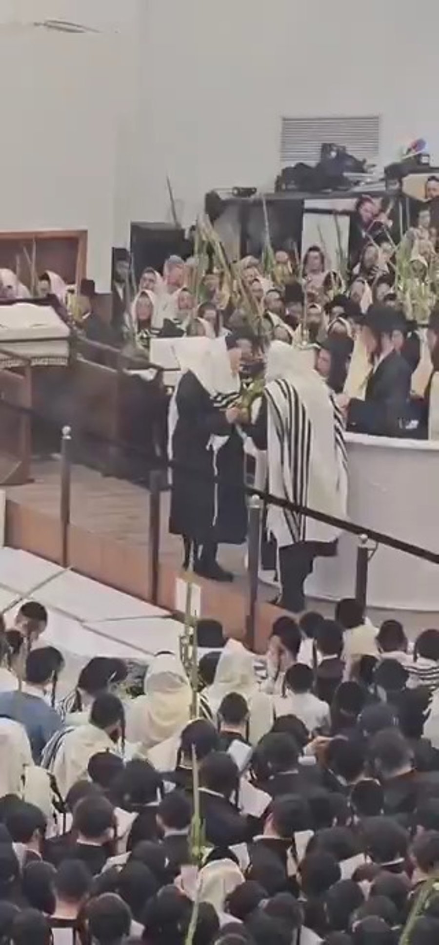 הושענא רבה תשפ"ו בחצה"ק גור