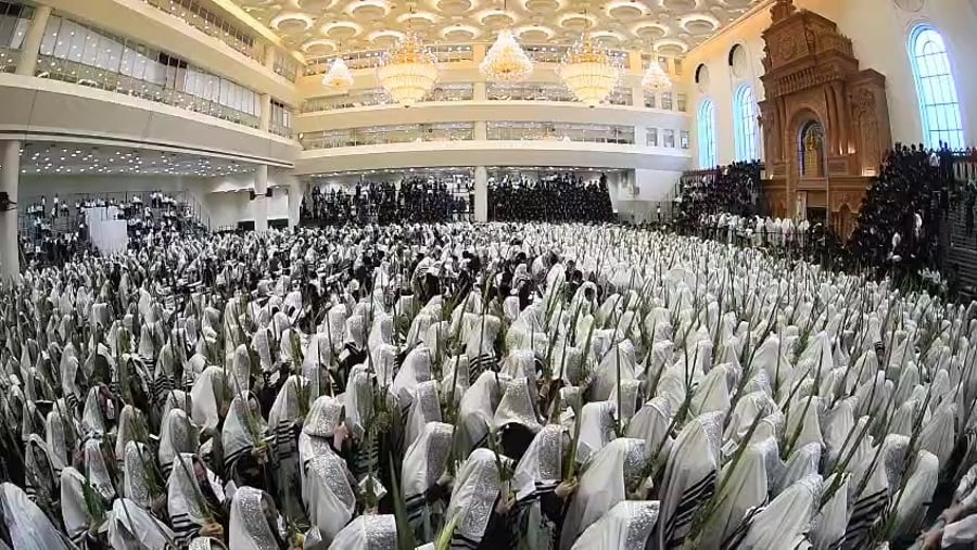 הושענא רבה בחצה"ק ויז'ניץ