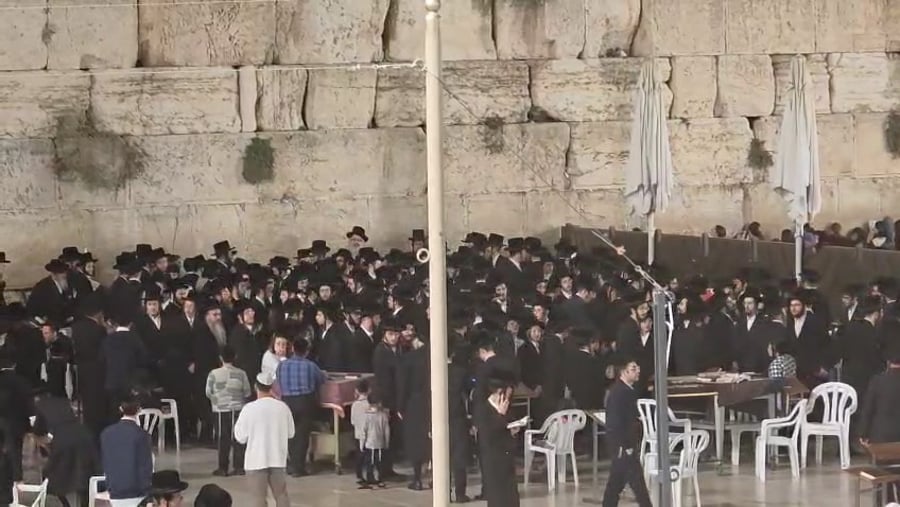 האדמו"ר מויז'ניץ בית שמש בכותל המערבי 