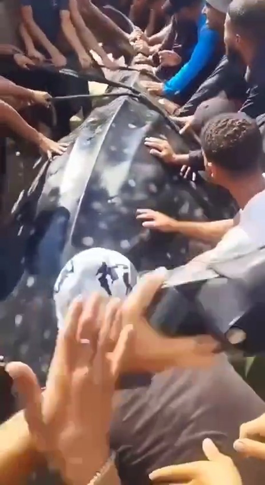 בעזה צוהלים על גופת הכריש הליוויתיני