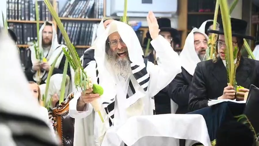 הושענא רבה אצל הגה"צ רבי אלימלך בידרמן