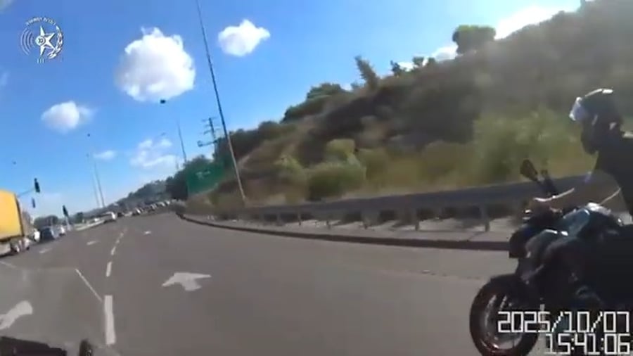 מרדף מהיר ועצבני