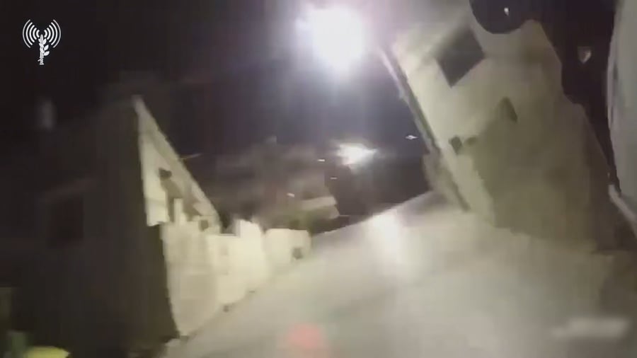 לוחמי דובדבן בפעילות