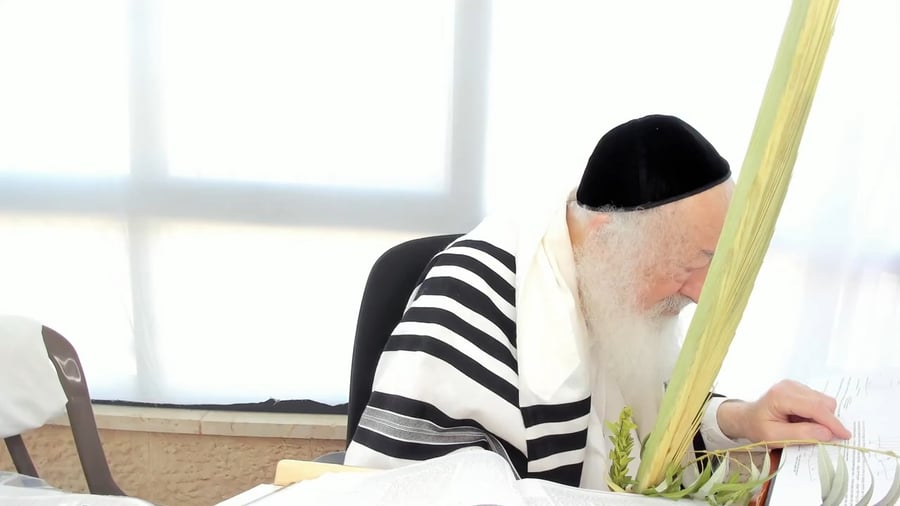 הרב יעקב דוד סטפנסקי בשיעור על מסכת חולין